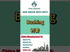 इवान ज़ोनको- बुशिंग