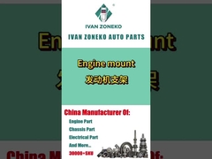 इवान ज़ोनको- इंजन माउंट
