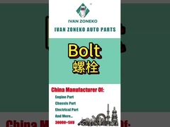 इवान ज़ोनको- बोल्ट